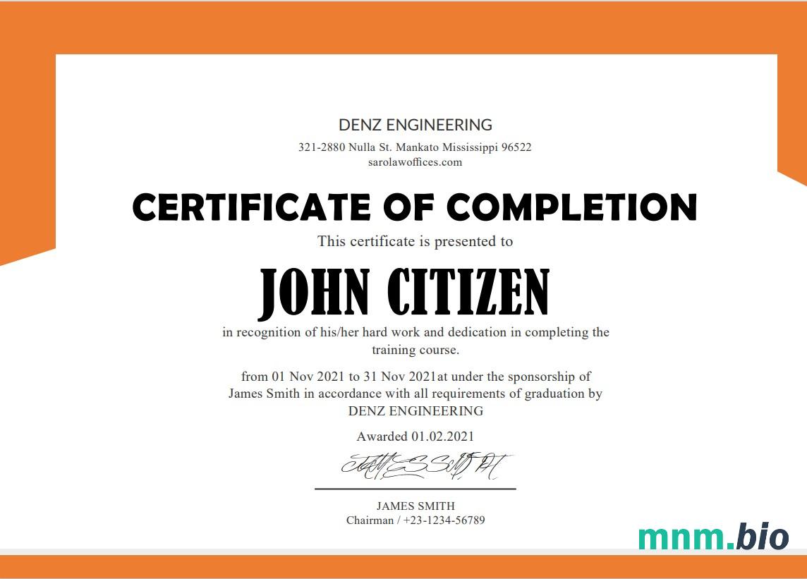 USA Denz Engineering Internship Cert